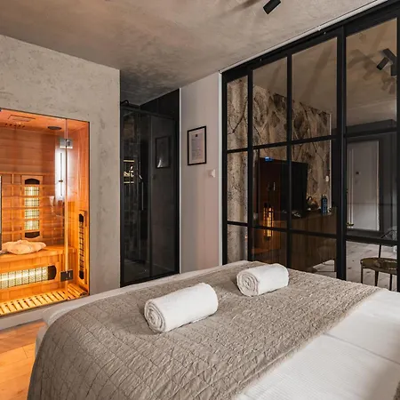 717 - Z Sauna Apartment